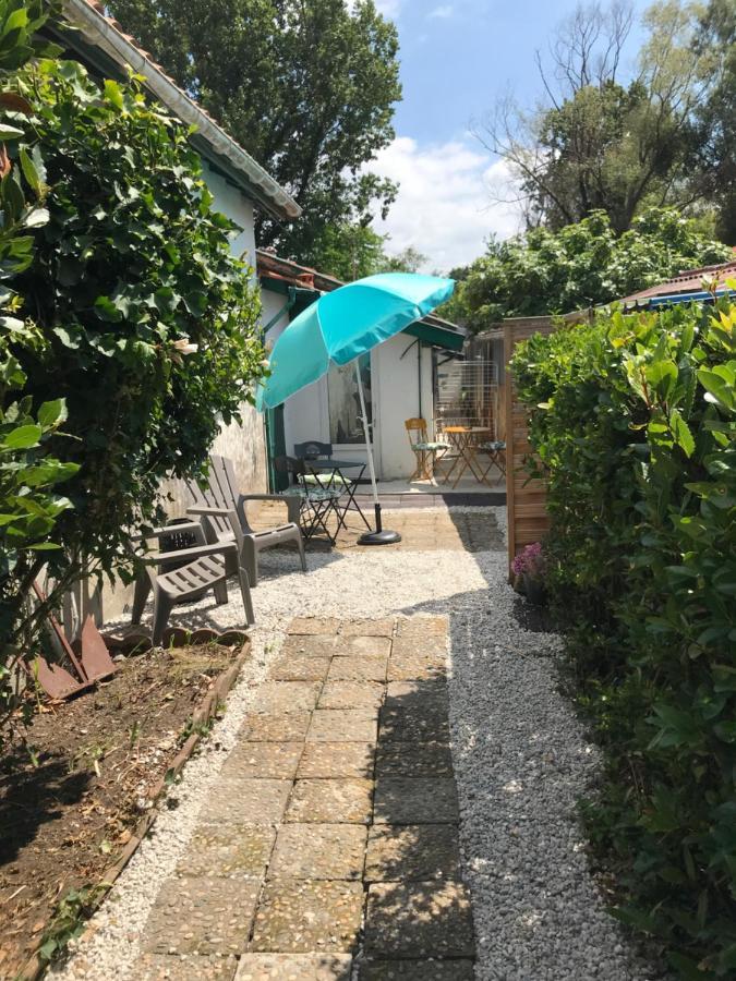 Appartement Entre Ocean Et Montagne 15Bis Avenue De Montbrun Anglet Luaran gambar